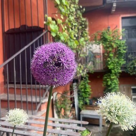 Come A Casa Кастеллетто-сопра-Тичино Экстерьер фото